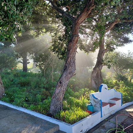 Herdade Amália Zambujeira do Mar Esterno foto