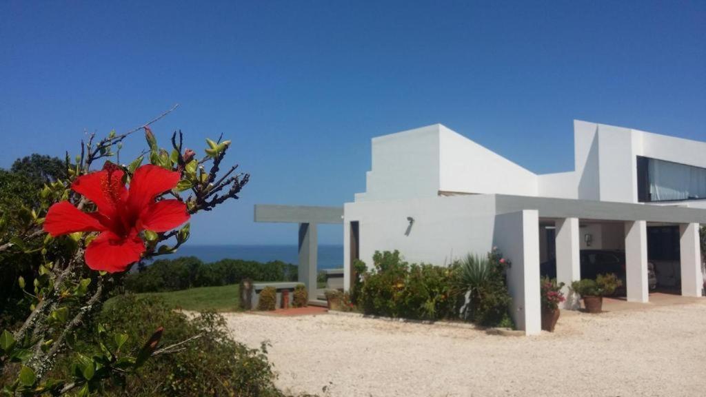 Herdade Amália Zambujeira do Mar Esterno foto