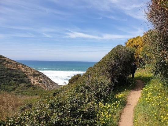 Herdade Amália Zambujeira do Mar Esterno foto