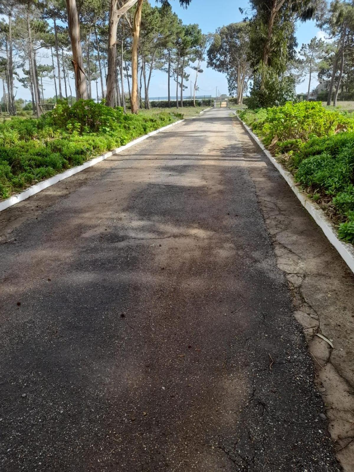 Herdade Amália Zambujeira do Mar Esterno foto