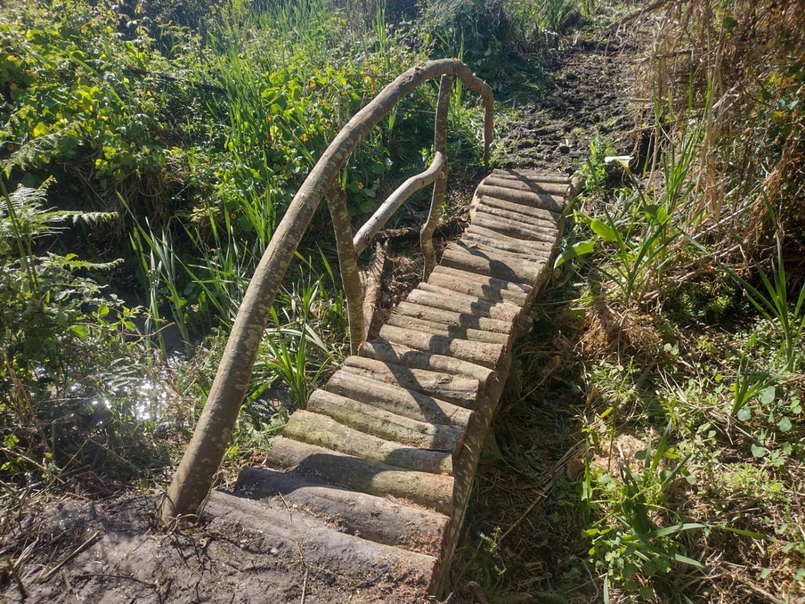Herdade Amália Zambujeira do Mar Esterno foto